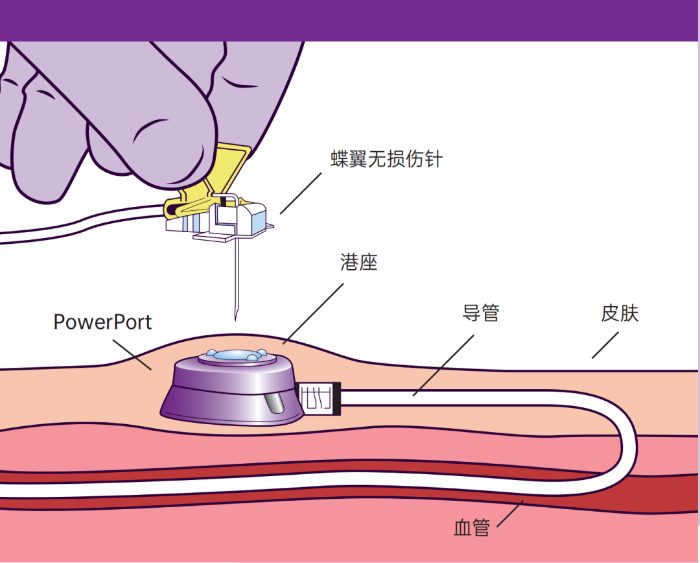 微信图片_20240220080806.png